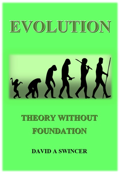 EVOLUTION - LOW PIXCELS.jpg